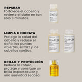 OLAPLEX IN GOOD REPAIR STRENGTH AND SHINE HAIR KIT